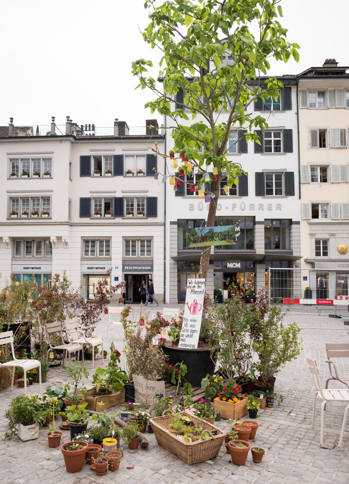 Put in a major square, these greens were a type of protest to the fact that little greenery exists in the square anymore. If you had a dying plant, you can bring it there and it will be cared for.