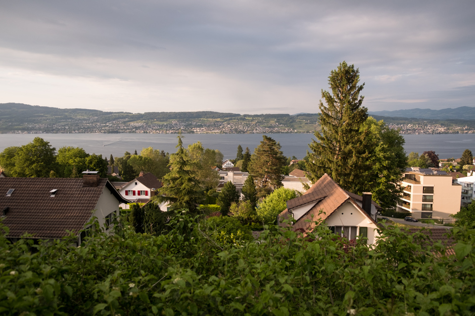 Views form the yard