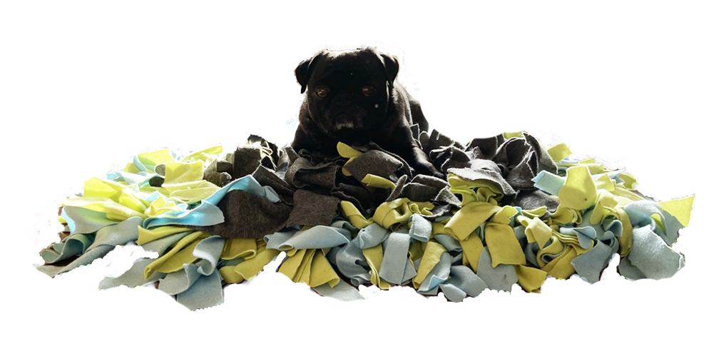 snuffle mat directions