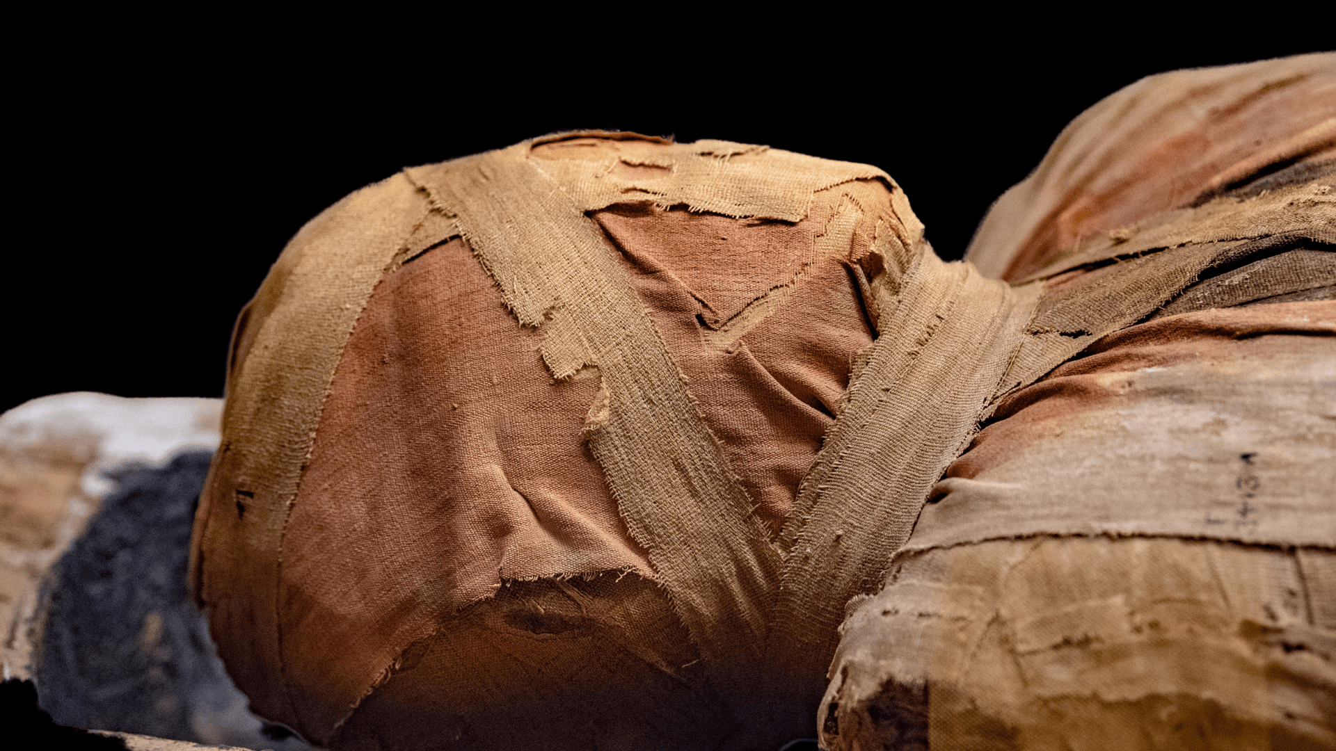 Should the dead be on display in museums?