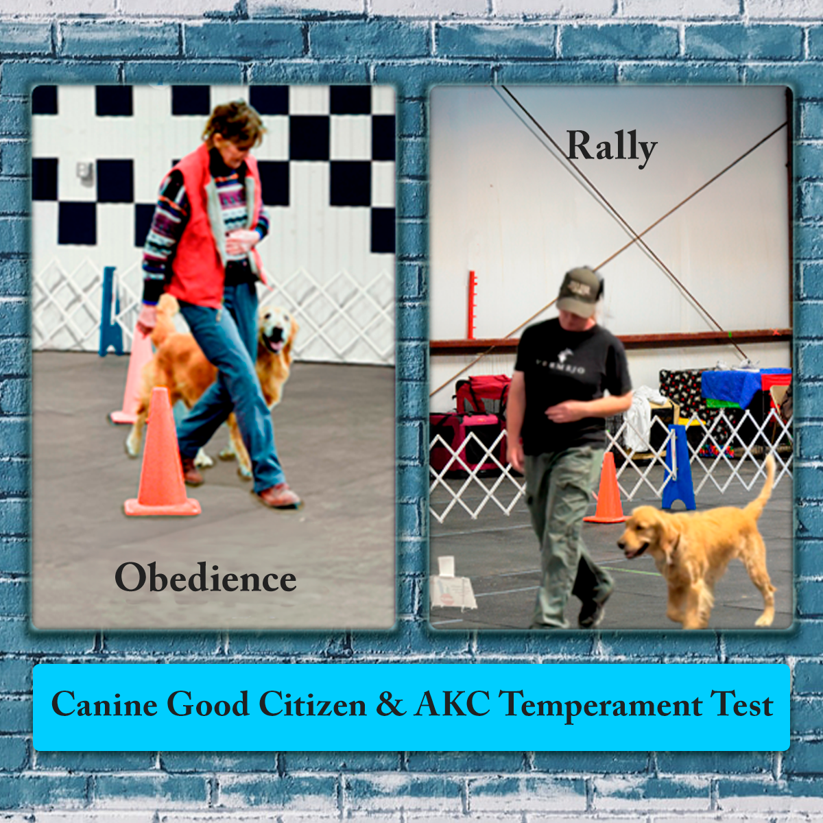 Picture of Obedience and Rally trials sponsored by Beartooth Agility Club of Montana at Yellowstone Dog Sports, Roberts, Montana on April 18–19, 2026