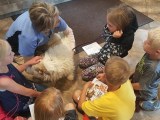 Humane Education Beartooth Humane Alliance