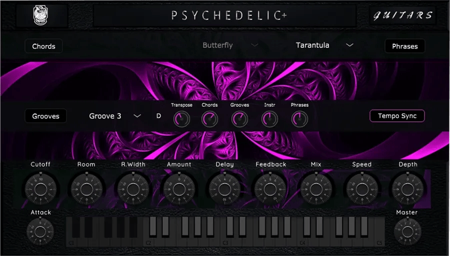 Psychedelic Guitars PLUS