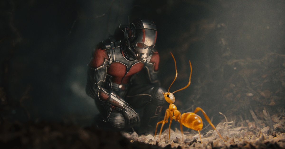 ant man