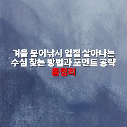 겨울 붕어낚시 입질 살아나는 수심 찾는 방법과 포인트 공략 총정리