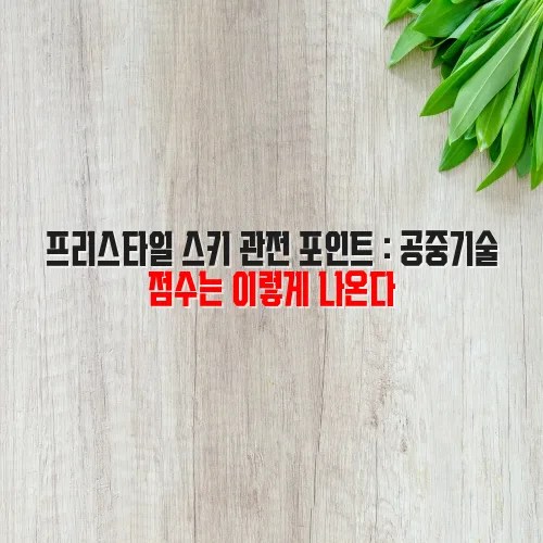 프리스타일 스키 관전 포인트 : 공중기술 점수는 이렇게 나온다