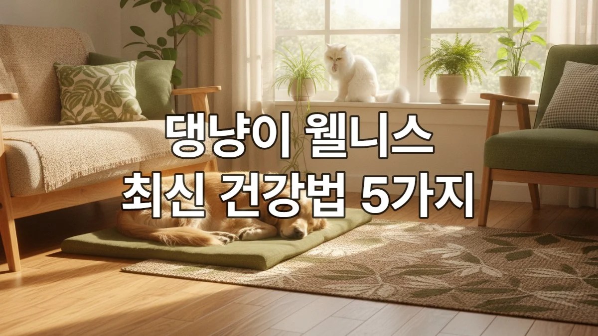 우리 집 댕냥이도 ‘웰니스 라이프’! 2026년 주목해야 할 펫 건강 관리법 5가지
