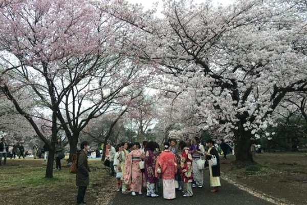 Shinjuku Gyoen