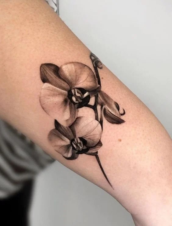 Black and gray tattoo of two orchid flowers and buds on a woman’s forearm.