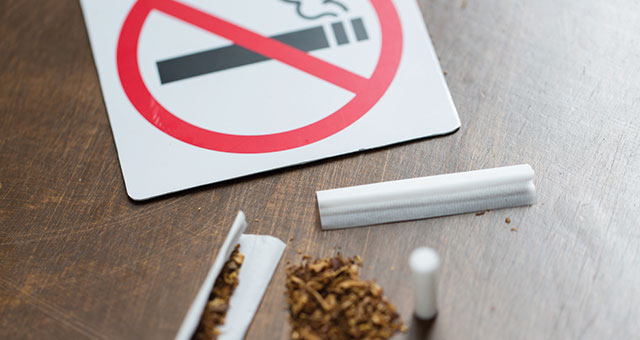How To Stop Smoking Weed Without Withdrawals Beaver Bud Quit Weed 