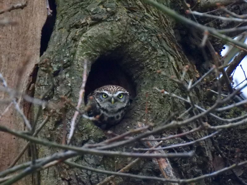 Bec Au Github - Gradient Wallpaper Collection - Desktop Quality