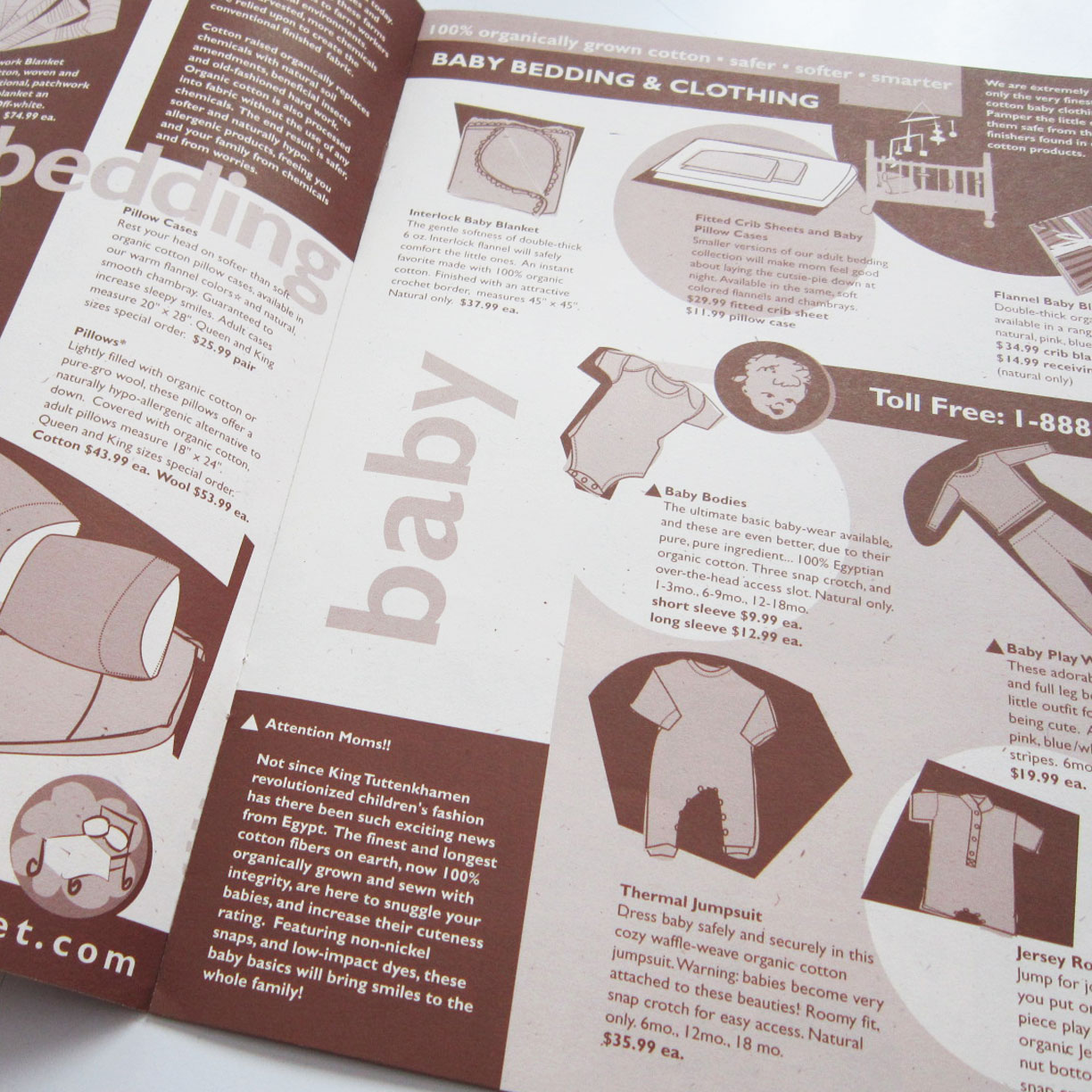 Brochure Illustration