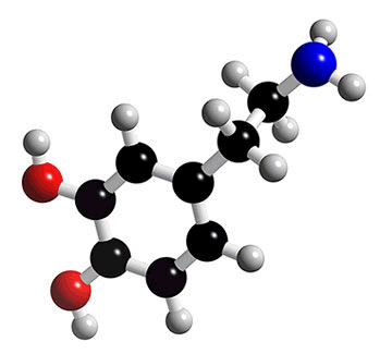 why do i get my best ideas during zumba?