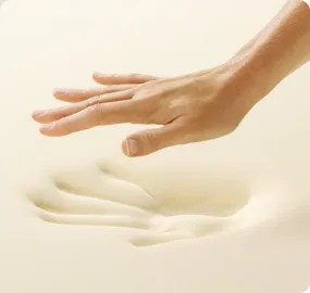 The Stains On The Mattress