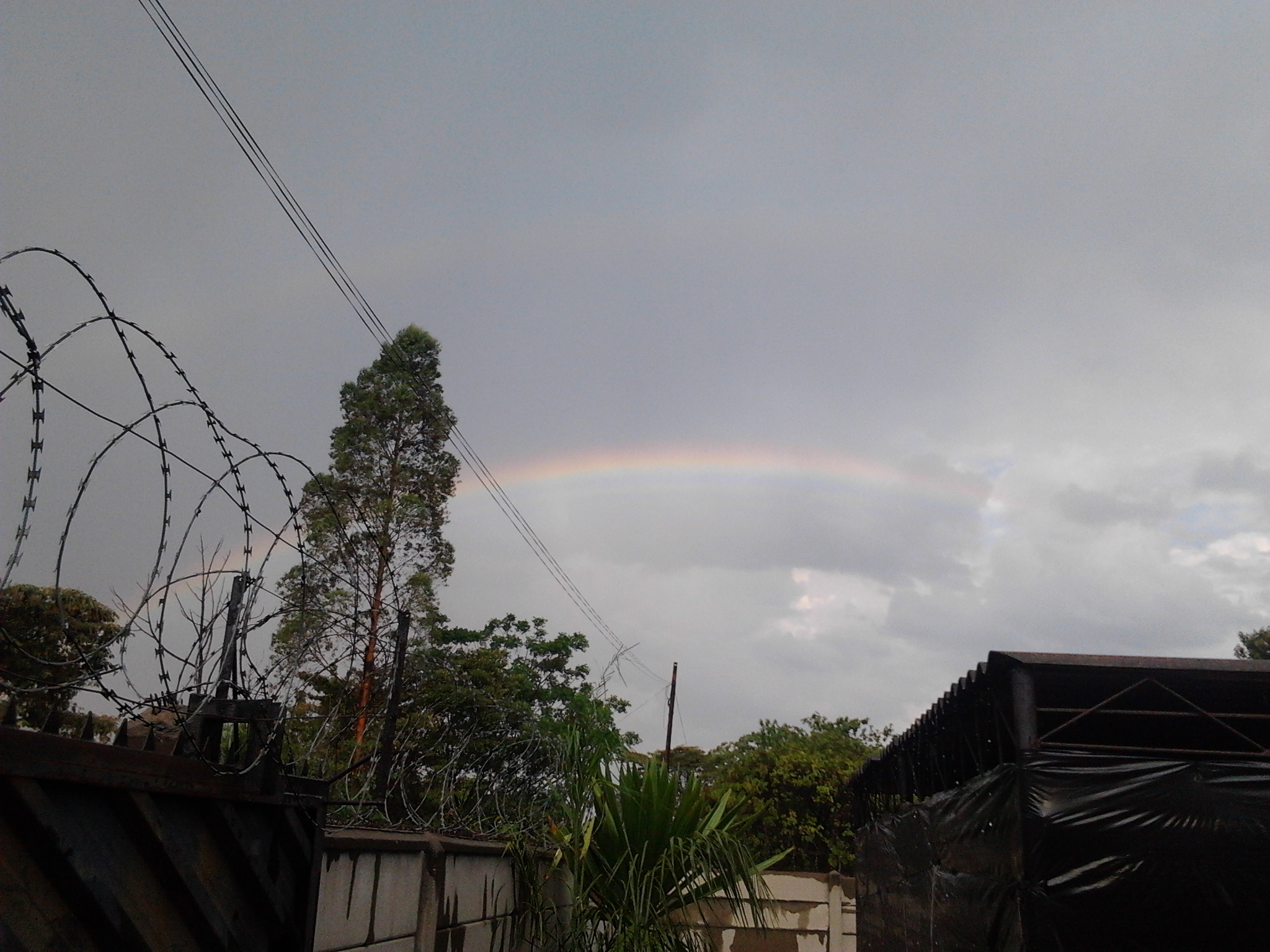 the rainbow