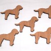 5 x Cockapoo