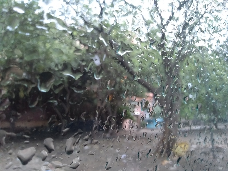 Realme 2 camera sample 3