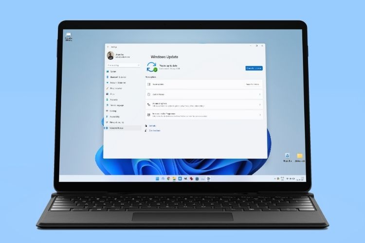 Windows 11 Automatic Update Neryattack - Nature Images - High Quality Mobile Collection