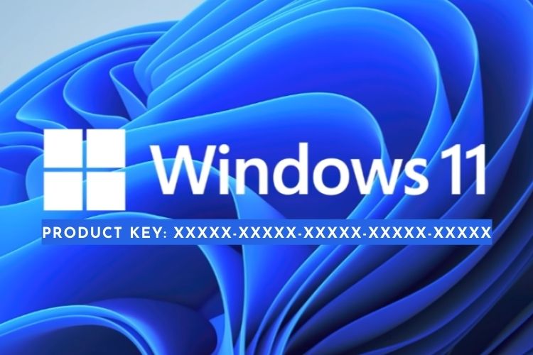 Windows 11 Product Key - Perfect 4K Vintage Illustrations | Free Download