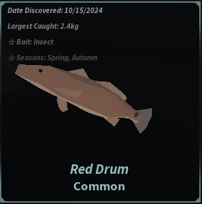 How To Catch The Red Drum In Fisch Roblox Beebom Red Drum Fisch.webp