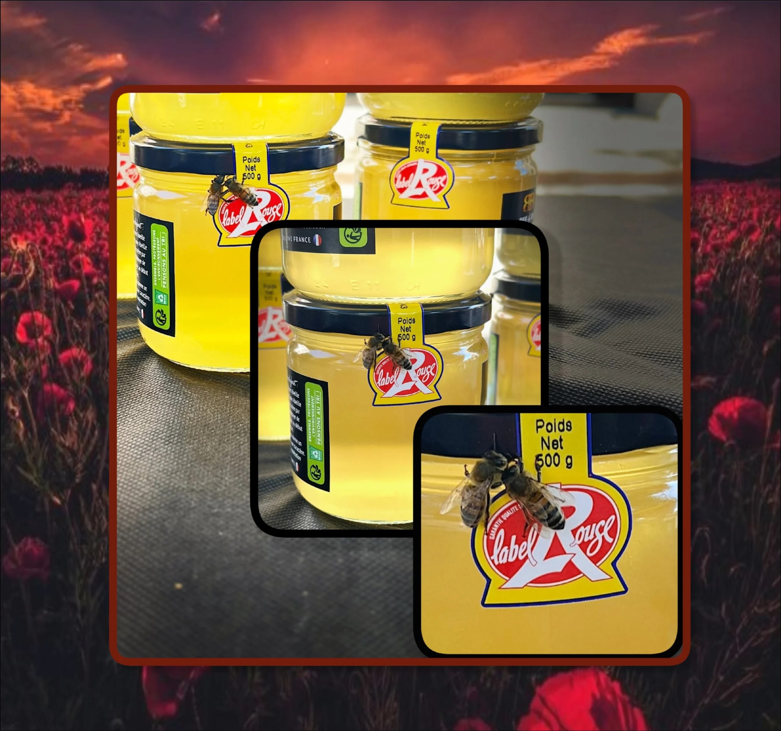 POT EN VERRE SAVE THE BEES