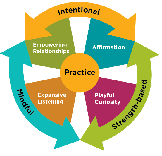 Colorful NSP Wheel graphic
