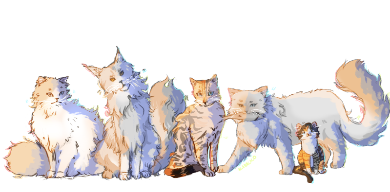 Github Harechaser Rtssframelimiter - Download Gorgeous Gradient Texture | Full HD