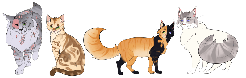 Dcbeech Donya Beech Github - Colorful Designs - Elegant 4K Collection