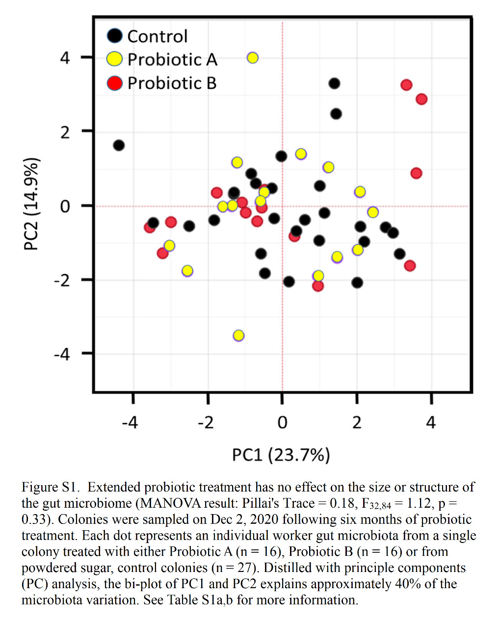 Understanding New Research on Probiotics for Beekeepers – Bee