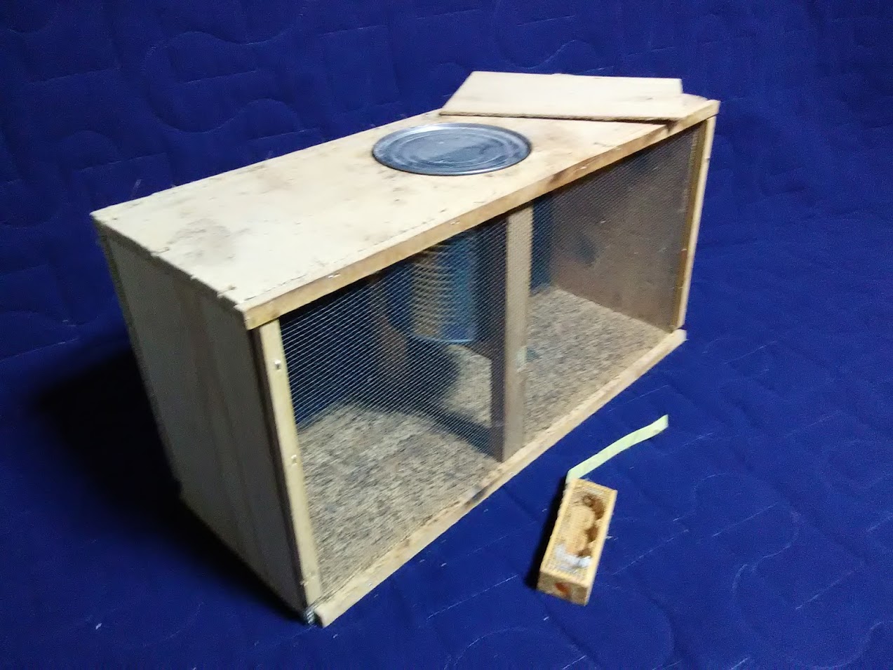 Off the Wahl Beekeeping – Bee Culture Magazine