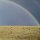 AgProud: Corn, Cattle, and Countless Hours