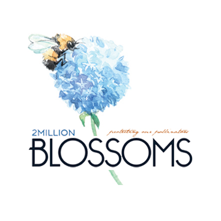 2 MILLION BLOSSOMS MAGAZINE