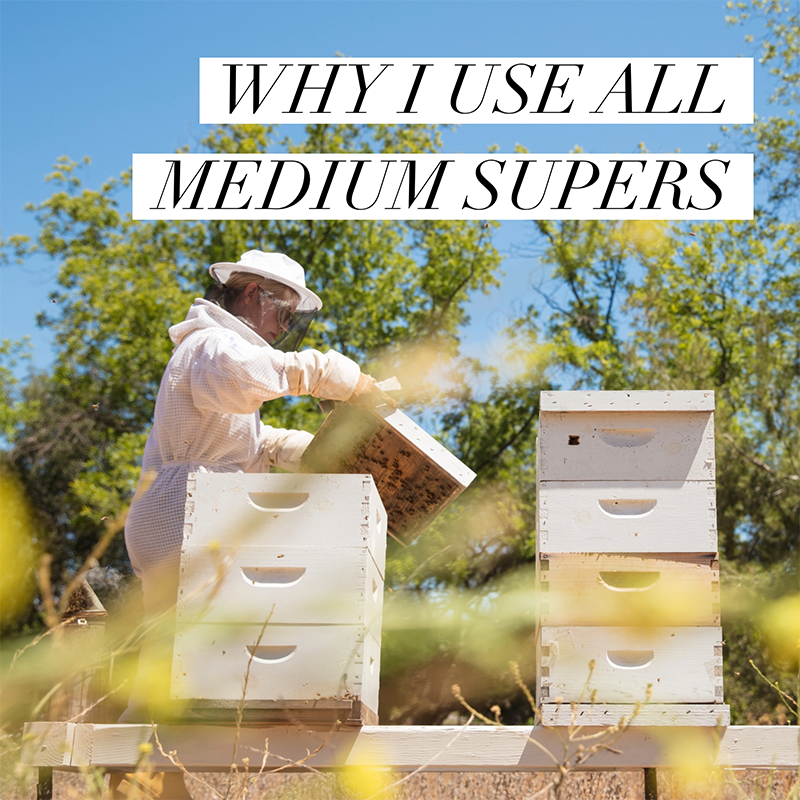 WHY I USE ALL MEDIUM SUPERS IN MY APIARY