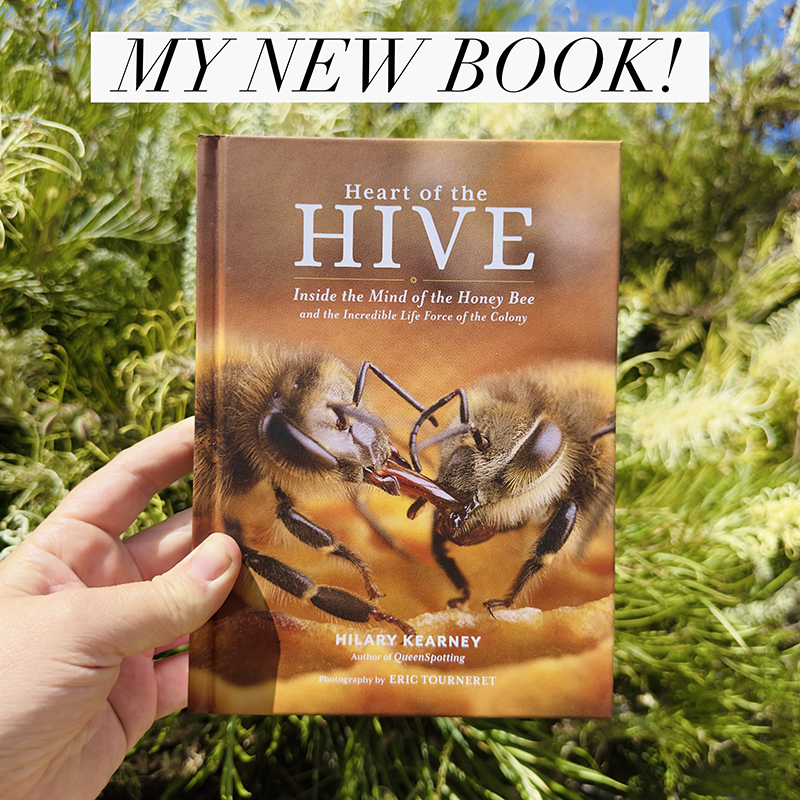 New Bee Book: Heart of the Hive