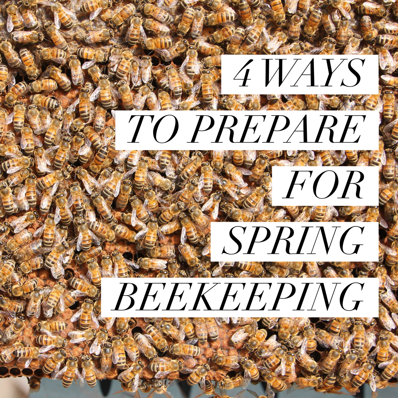 4 ways to prepare for spring beekeeping