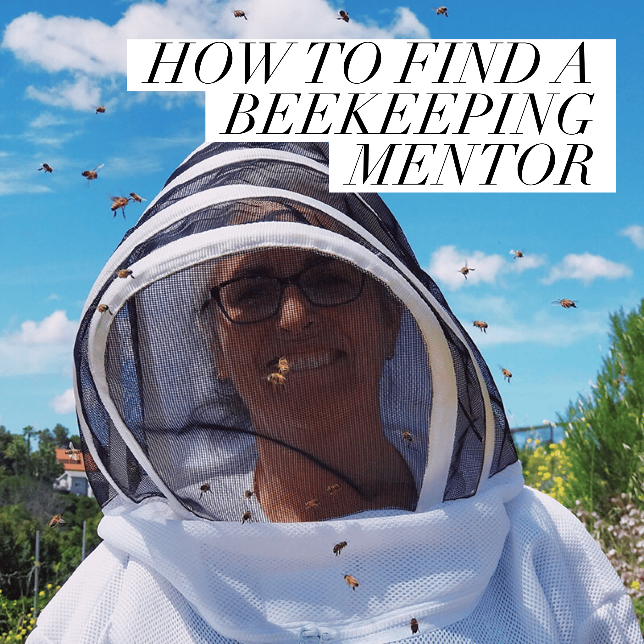 HOW TO FIND A BEEKEEPING MENTOR