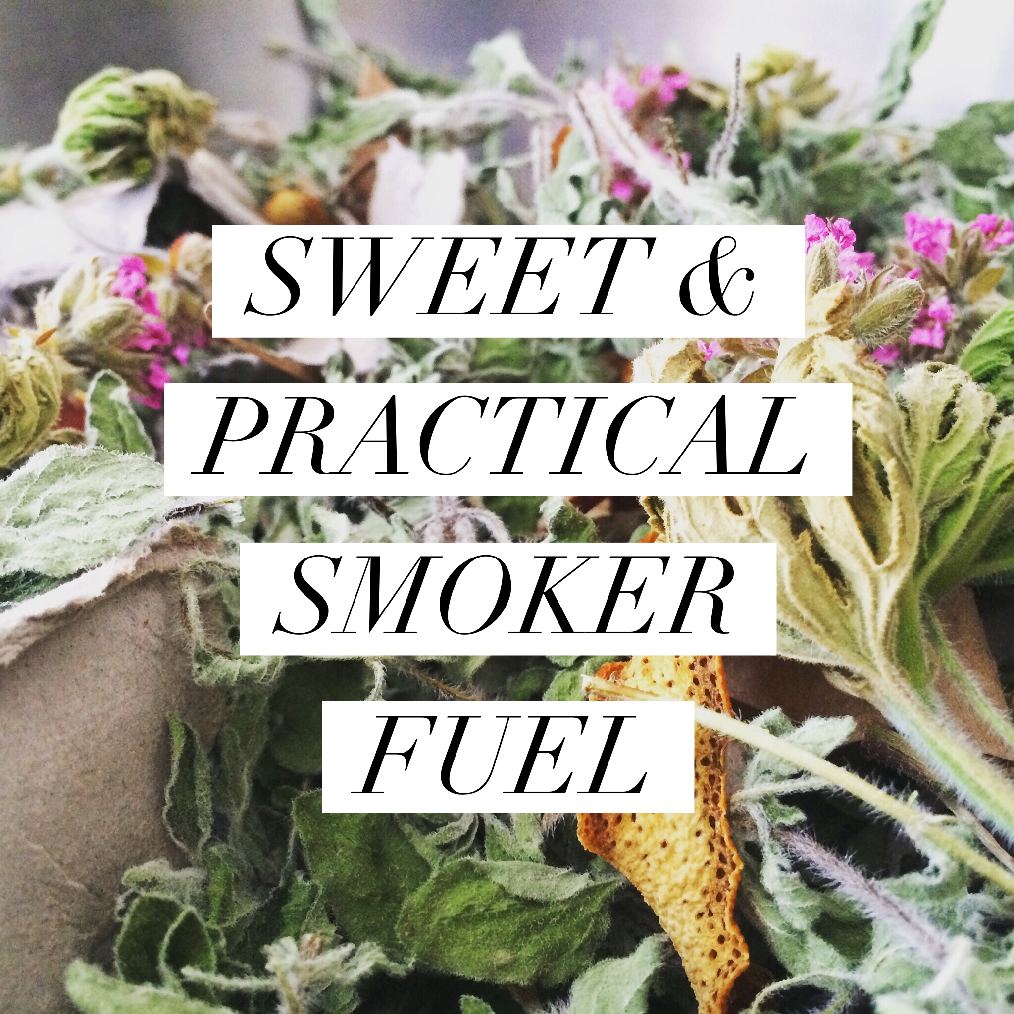 SWEET & PRACTICAL SMOKER FUEL FOR BEEKEEPERS