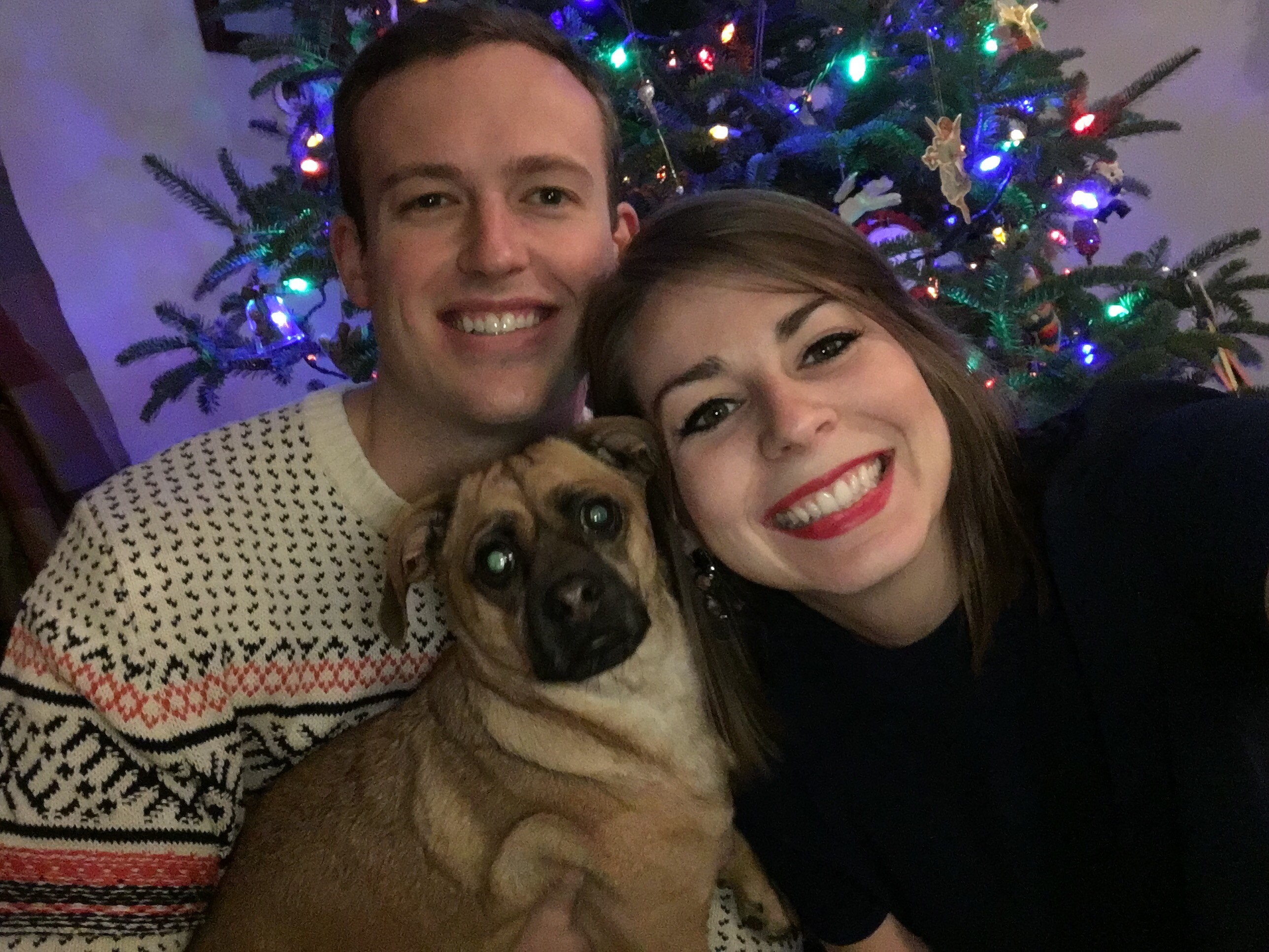 December - Christmas!