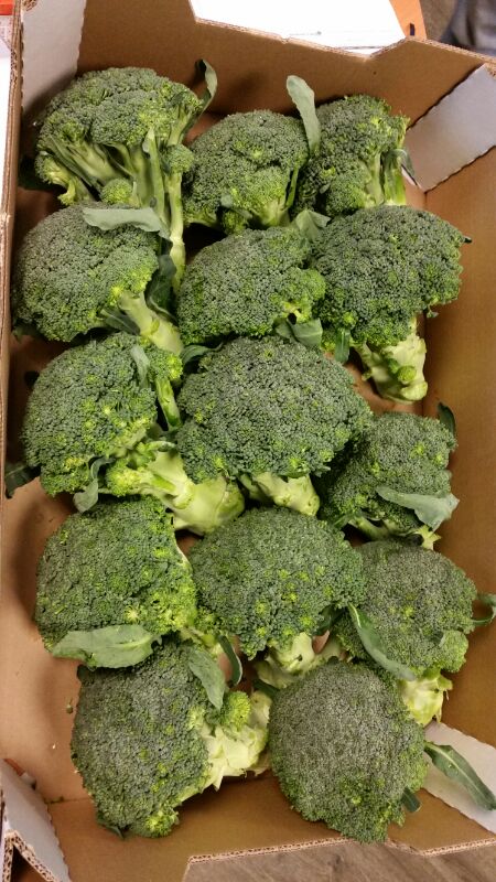 broccoli