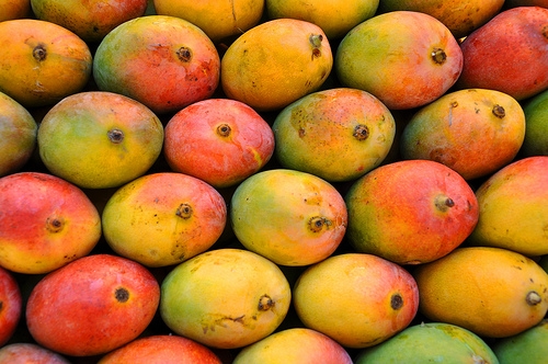 mango