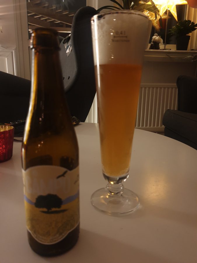 Läs mer om artikeln Campo