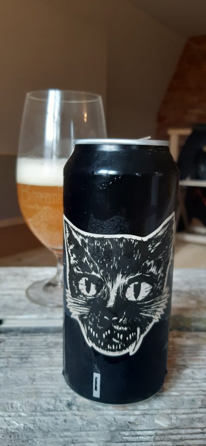 Läs mer om artikeln Katten DIPA