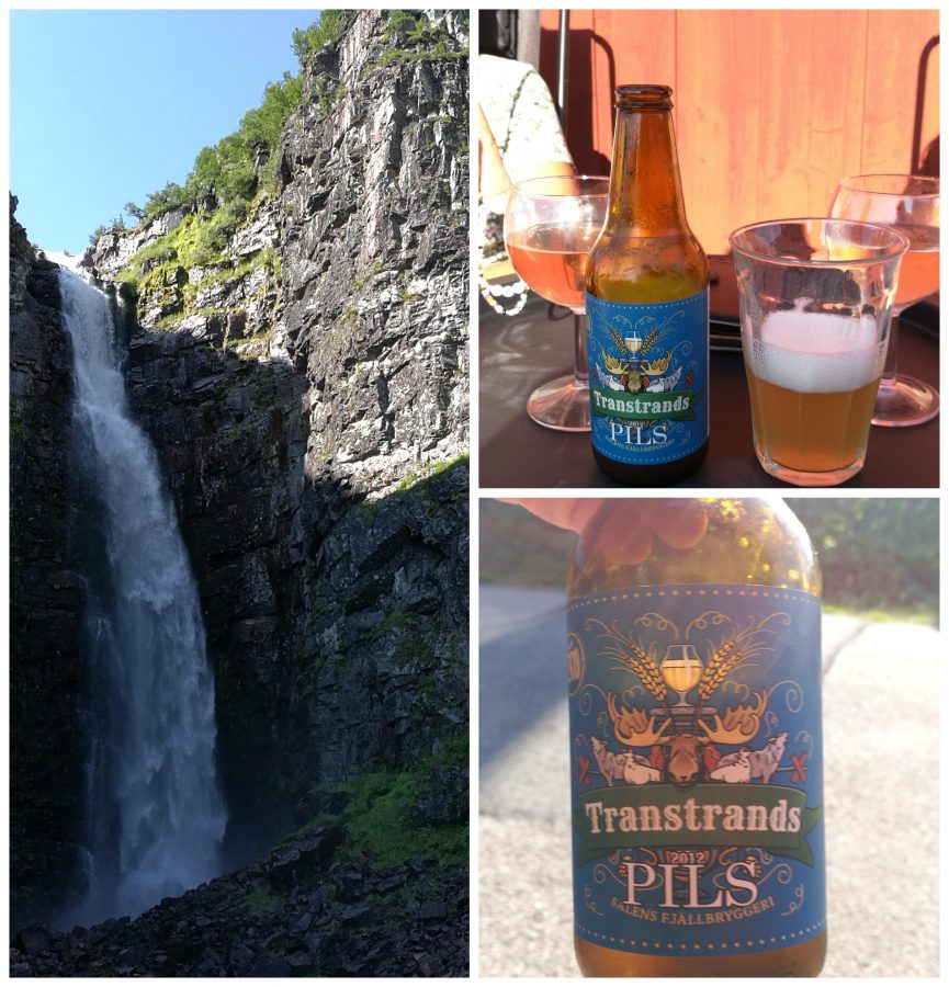 Läs mer om artikeln Transtrands pils