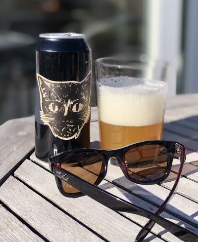 Läs mer om artikeln Katten DIPA
