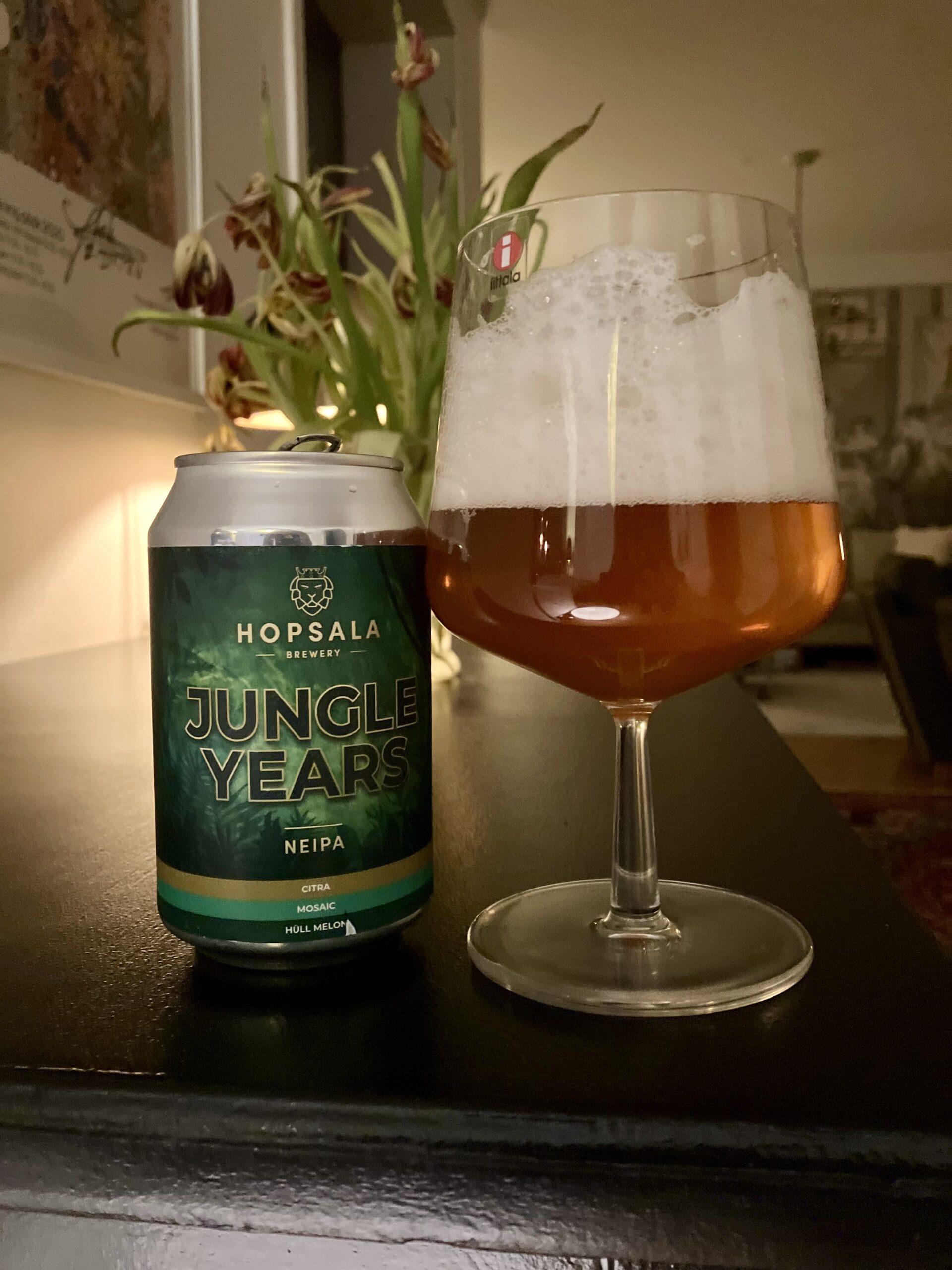 Läs mer om artikeln Jungle Years