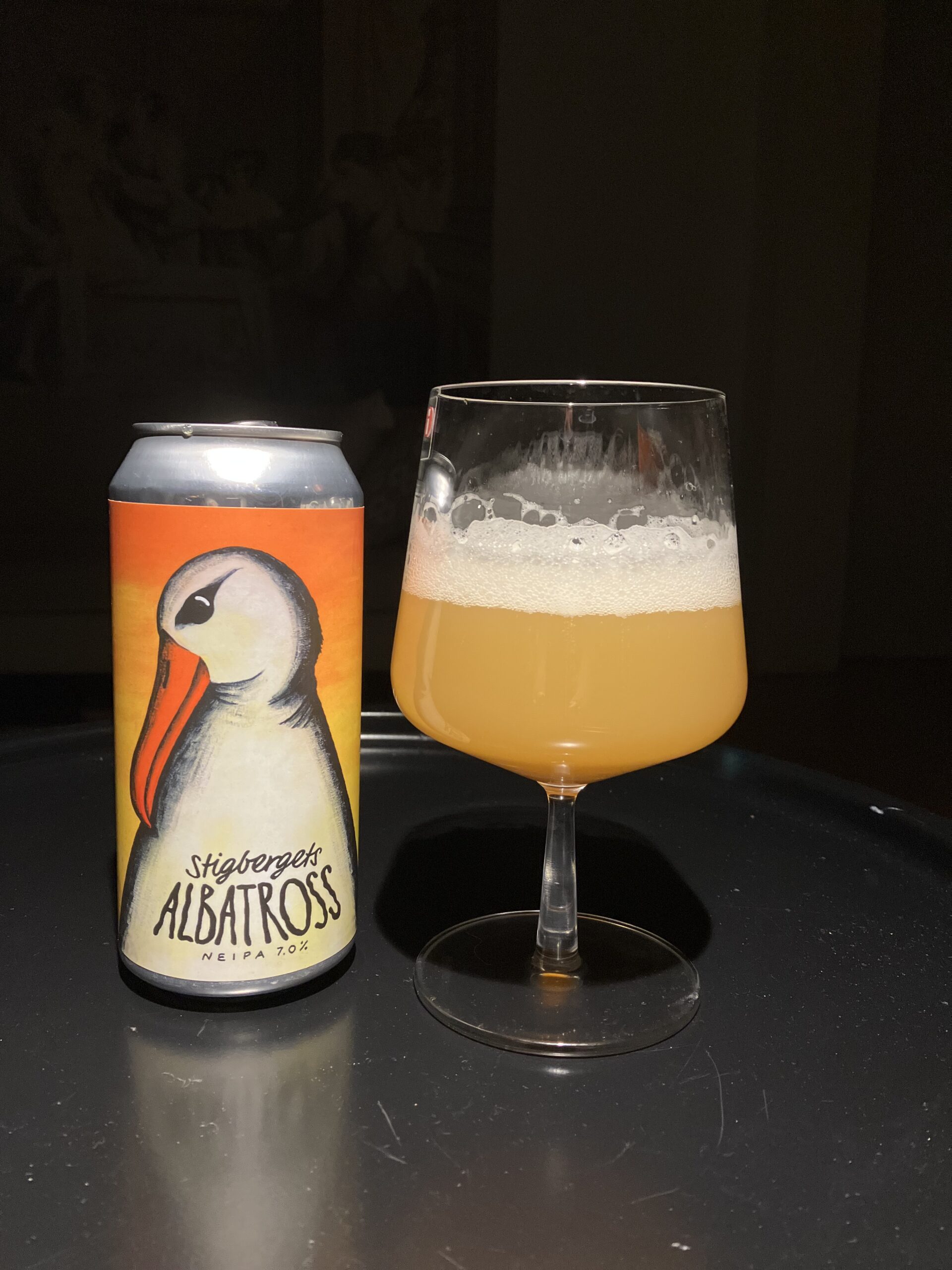Läs mer om artikeln Albatross