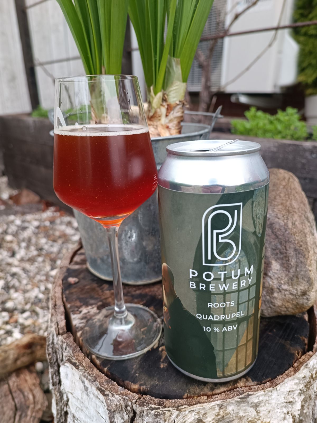 Läs mer om artikeln Roots Quadrupel – Sveriges bästa?