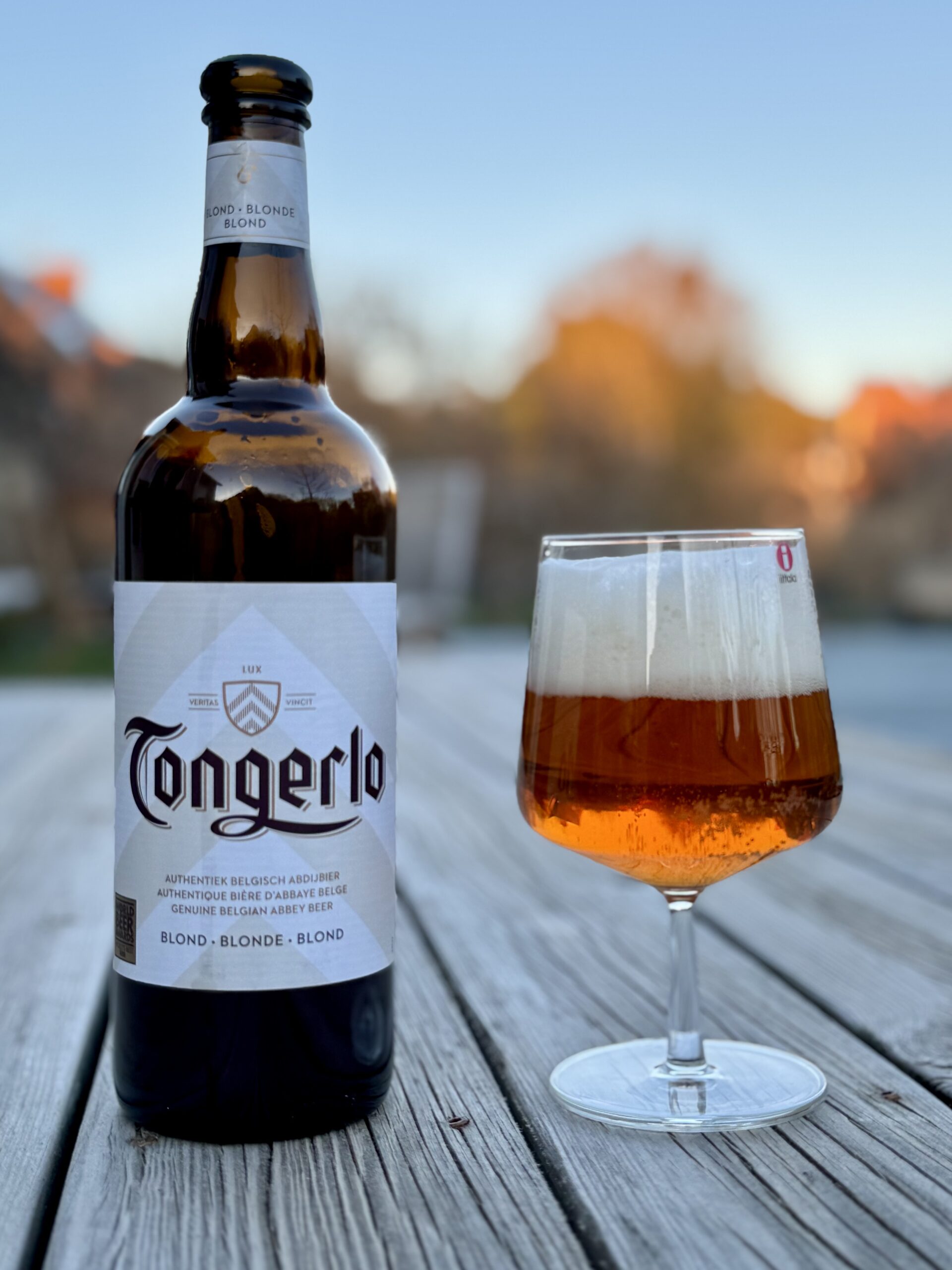Läs mer om artikeln Tongerlo Blond