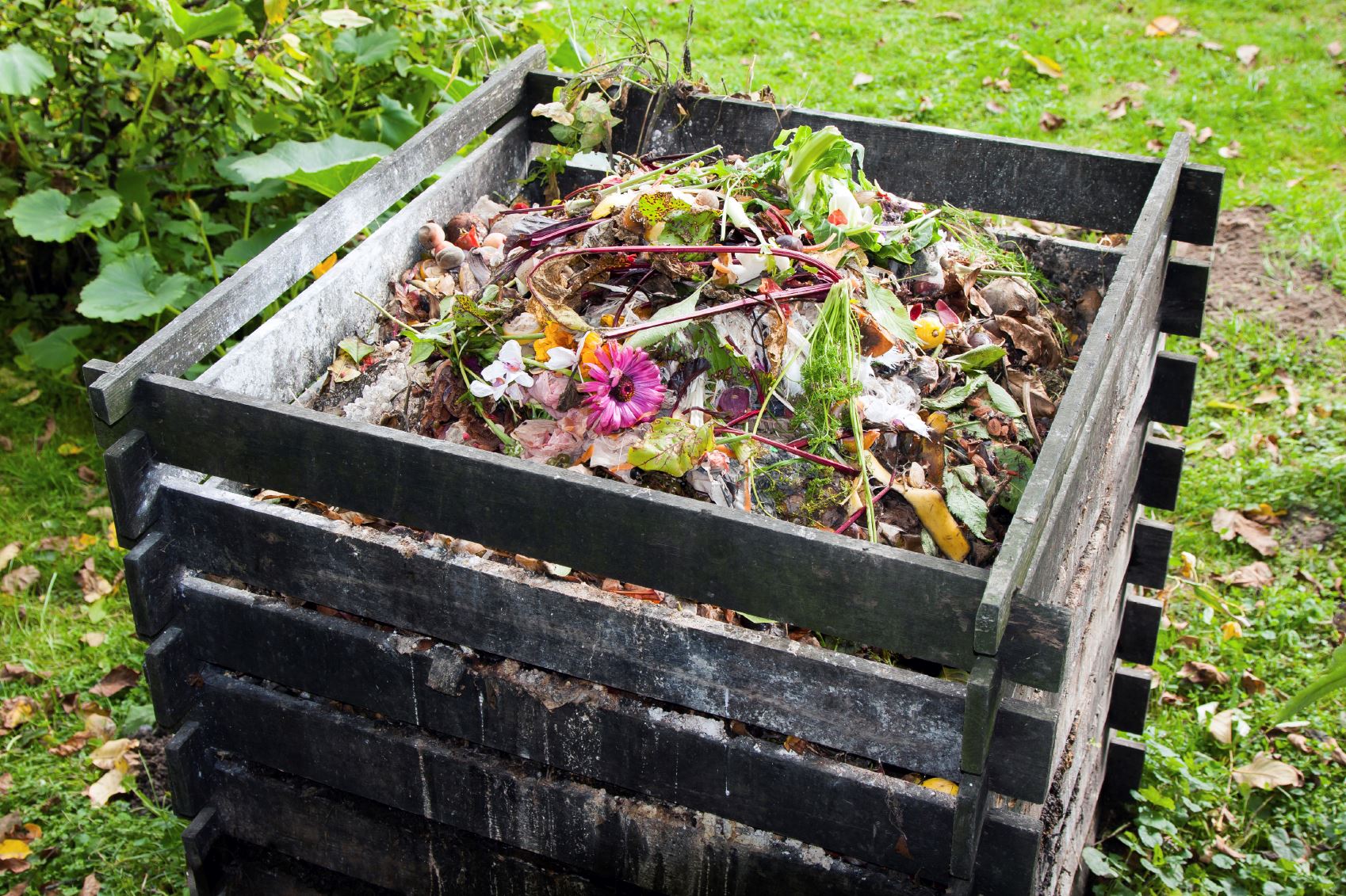 How to start composting for beginners
