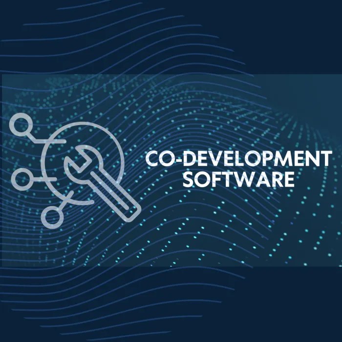 Co-Development Software: Collaborating for Success